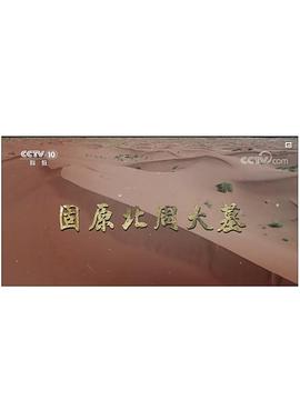固原北周大墓