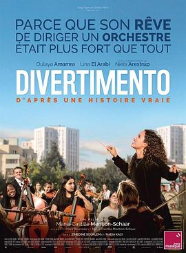 琴音芳华 Divertimento