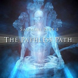 三摩地 第三部 无路之道 Samadi Part 3: The Pathless Path