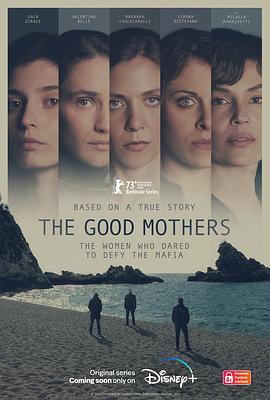 好母亲 The Good Mothers