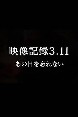 映像记录3·11：难忘那一天 映像記録 3.11〜あの日を忘れない〜