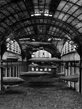 最终实验飞行体