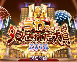 整人大赏 2018年末SP 3个半小时 うわっ!ダマされた大賞 2018 SP