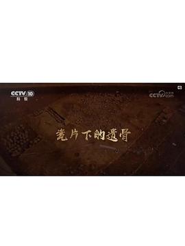 瓷片下的遗骨