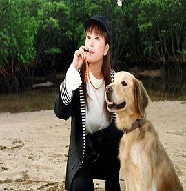 犬笛 西村寿行列島縦断サスペンス 犬笛