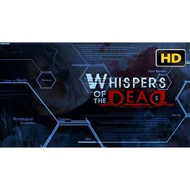 解剖实录2 Whispers of the Dead Season 2