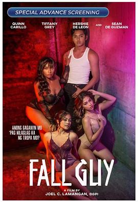 冤狱风云 Fall Guy
