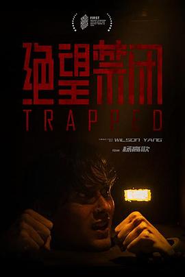 绝望禁闭 Trapped