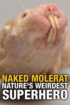 裸鼹鼠 对抗衰老的秘诀 Naked Molerat: Nature's Weirdest Superhero