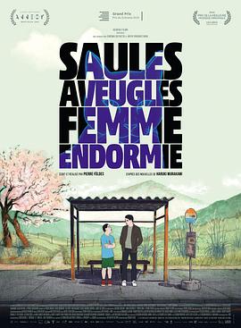 盲柳与睡女 Saules aveugles, femme endormie