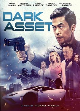 黑暗资产 Dark Asset