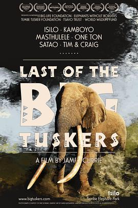 最后一只长牙象 Last of the Big Tuskers
