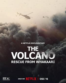 火山：法卡里营救 The Volcano: Rescue from Whakaari