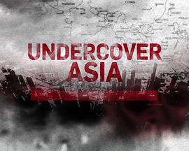 亚洲无间道 第四季 Undercover Asia Season 4