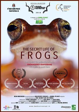 青蛙的秘密生活 The Secret Life of Frogs