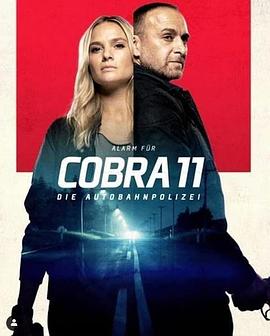 极速特警 第二十五季 Alarm für Cobra 11 - Die Autobahnpolize Season 25