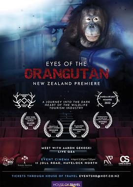 猩猩之眼 Eyes of the Orangutan