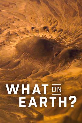卫星看地球 第十一季 What on Earth? Season 11