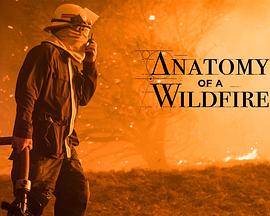 山火解密 Anatomy of a Wildfire