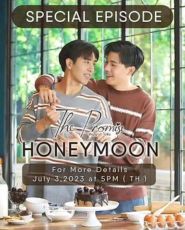 不曾忘记的承诺 特别篇：失而寻的蜜月 The Promise Special Episode：Honeymoon Lost and Found