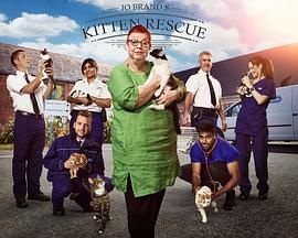 Jo Brand's Cats & Kittens Season 2