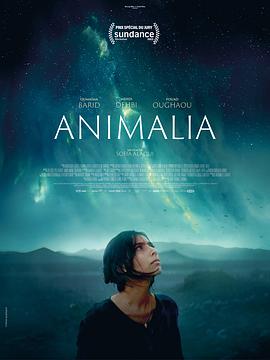 动物界 Animalia