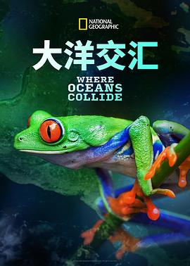 大洋交融之处 Where Oceans Collide