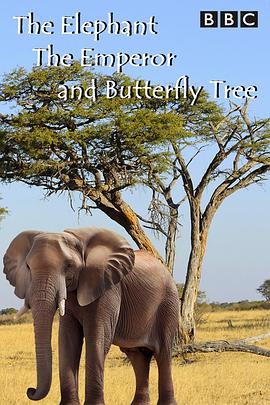 大象皇帝和蝴蝶树 The Elephant Emperor and Butterfly Tree