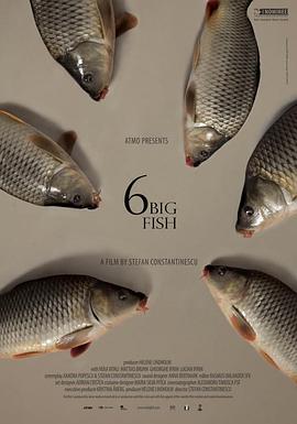 六条大鱼 6 stora fiskar