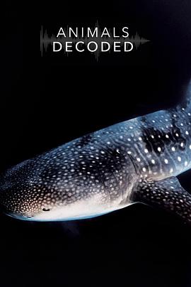 动物解码 Animals Decoded