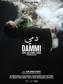 达米 Dammi