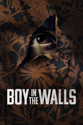 墙里的男孩 Boy in the Walls