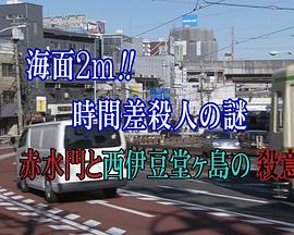 奇怪的刑事4 おかしな刑事4