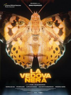 黑寡妇 La Vedova Nera