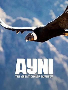 艾尼：一只秃鹫的伟大旅程 Ayni, l'odyssée du condor