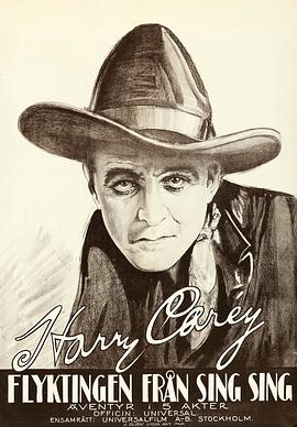 绝望追踪 Desperate Trails