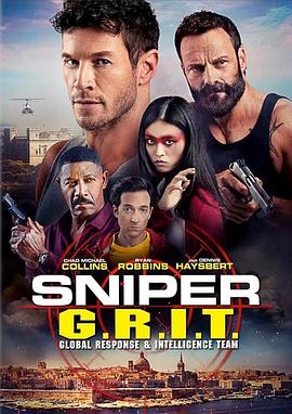 狙击手：环球反应与情报小组 Sniper: G.R.I.T.
