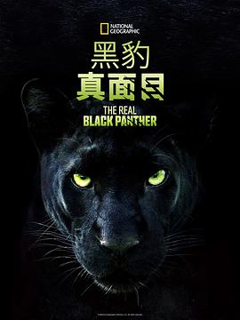 真黑豹无双 The Real Black Panther