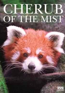大吉岭的小熊猫 Cherub of the Mist