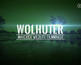 金 · 沃尔哈特 第一季 Wolhuter Maverick Wildlife Filmmaker Season 1