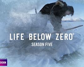 零度以下的生活 第五季 Life Below Zero Season 5