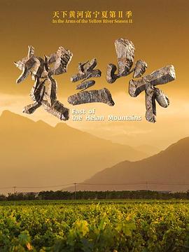 天下黄河富宁夏 第二季