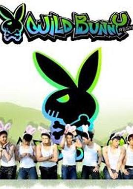 野兔子 Wild bunny