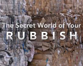 垃圾的秘密世界 第一季 The Secret World of Your Rubbish Season 1