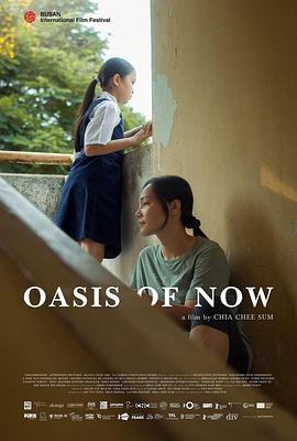 今时的绿洲 Oasis of Now