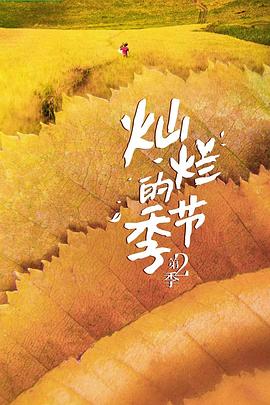 灿烂的季节 第二季
