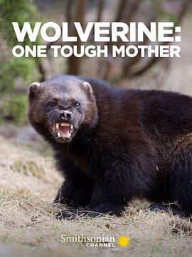 狼獾妈妈 Wolverine: One Tough Mother