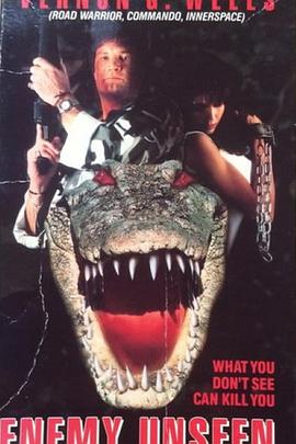 看不见的敌人 Enemy Unseen