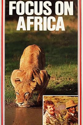 聚焦非洲 FOCUS ON AFRICA
