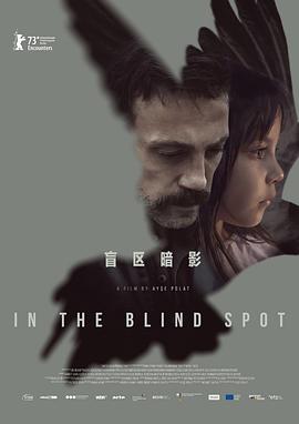 盲区暗影 Im toten Winkel